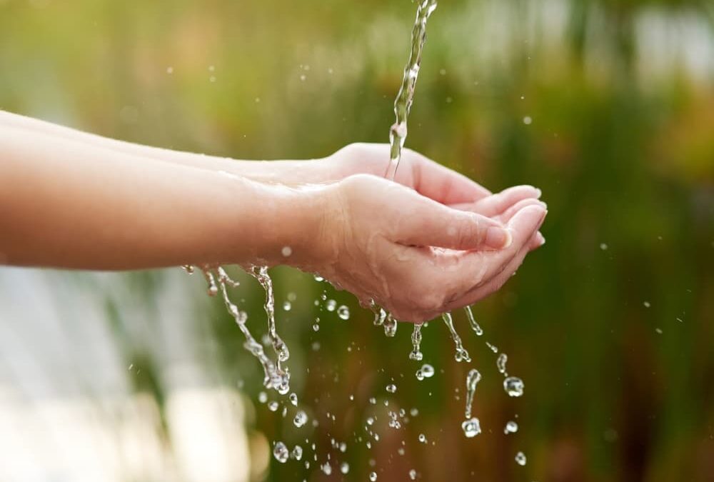 Clean Water Act Violation Claims