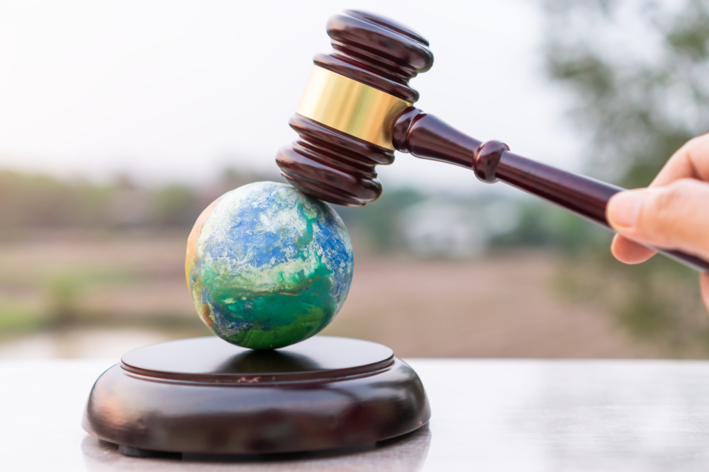 Tropea McMillan LLP California Wildfire Litigation Attorneys Ready To Help You Recover Compensation Tropea McMillan LLP: Skilled wildfire litigation attorneys helping victims recover fair compensation in California.