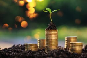 A small plant over the stack of coins